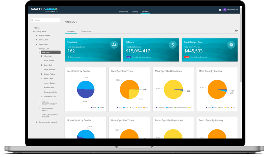 screenshot analysis overview from desktop hr software